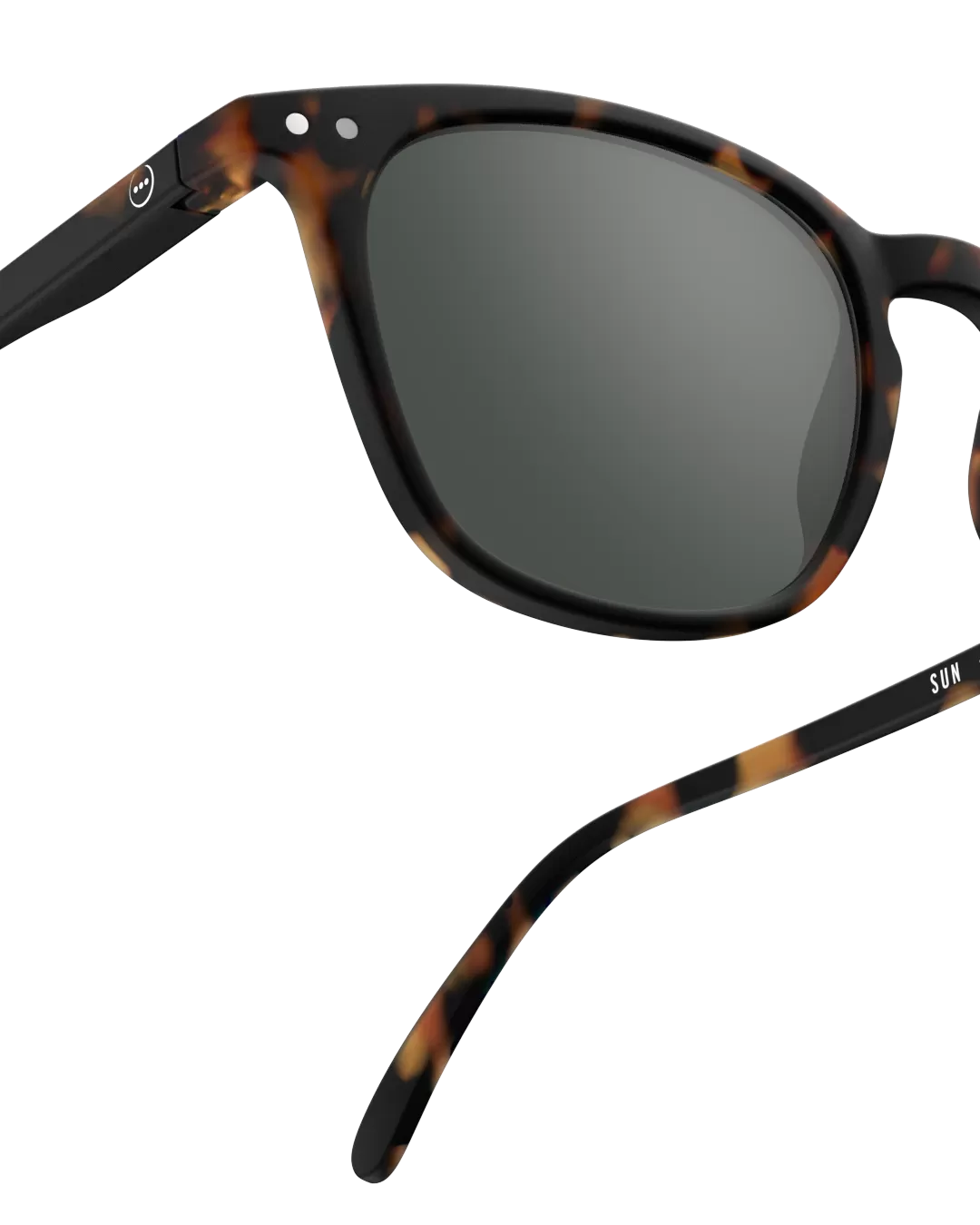 Adult sunglasses  | #E Tortoise