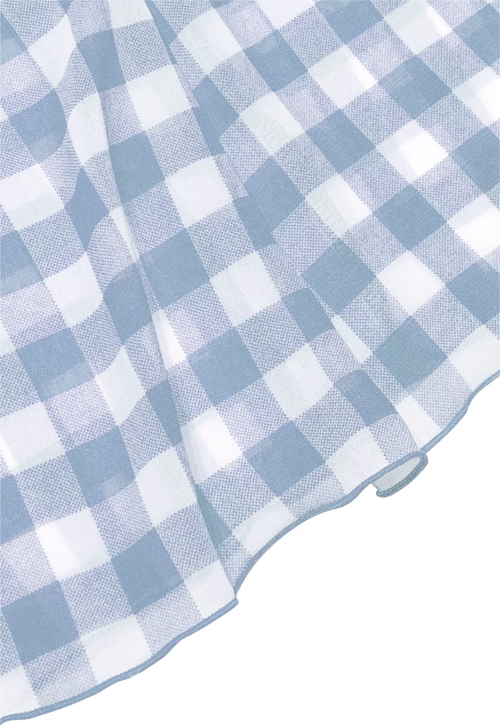 Gingham check see-through tops (Blue)