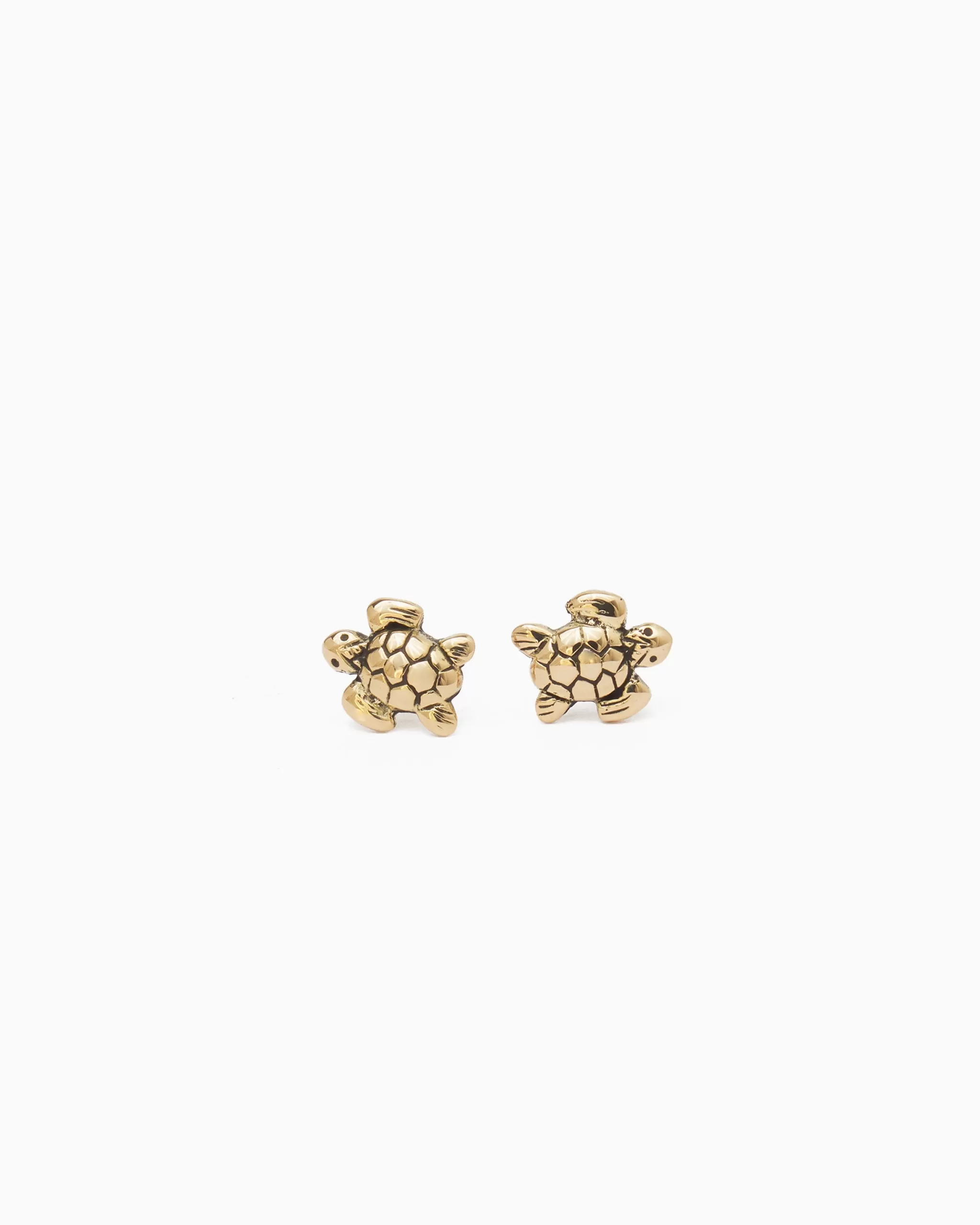 Sea Turtle Studs