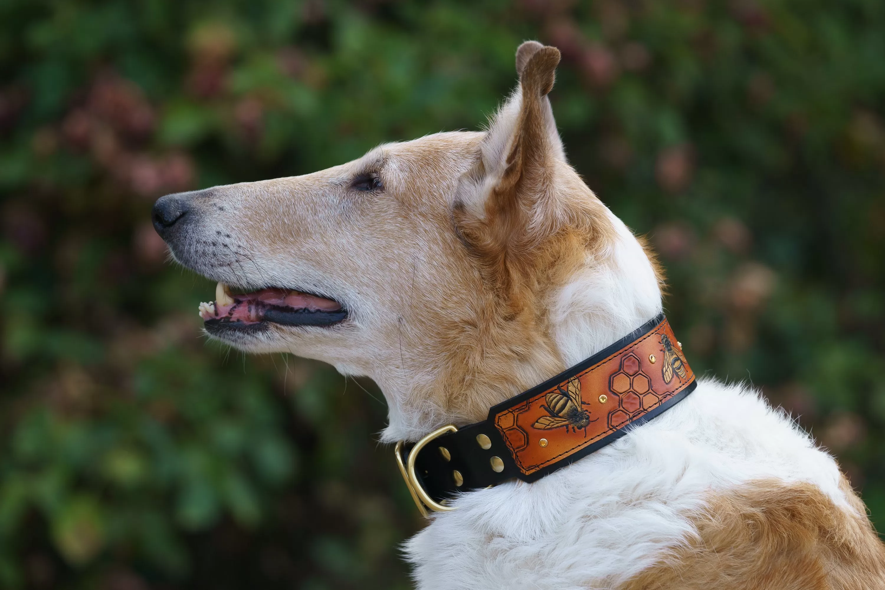 The Honey Bee Dog Collar