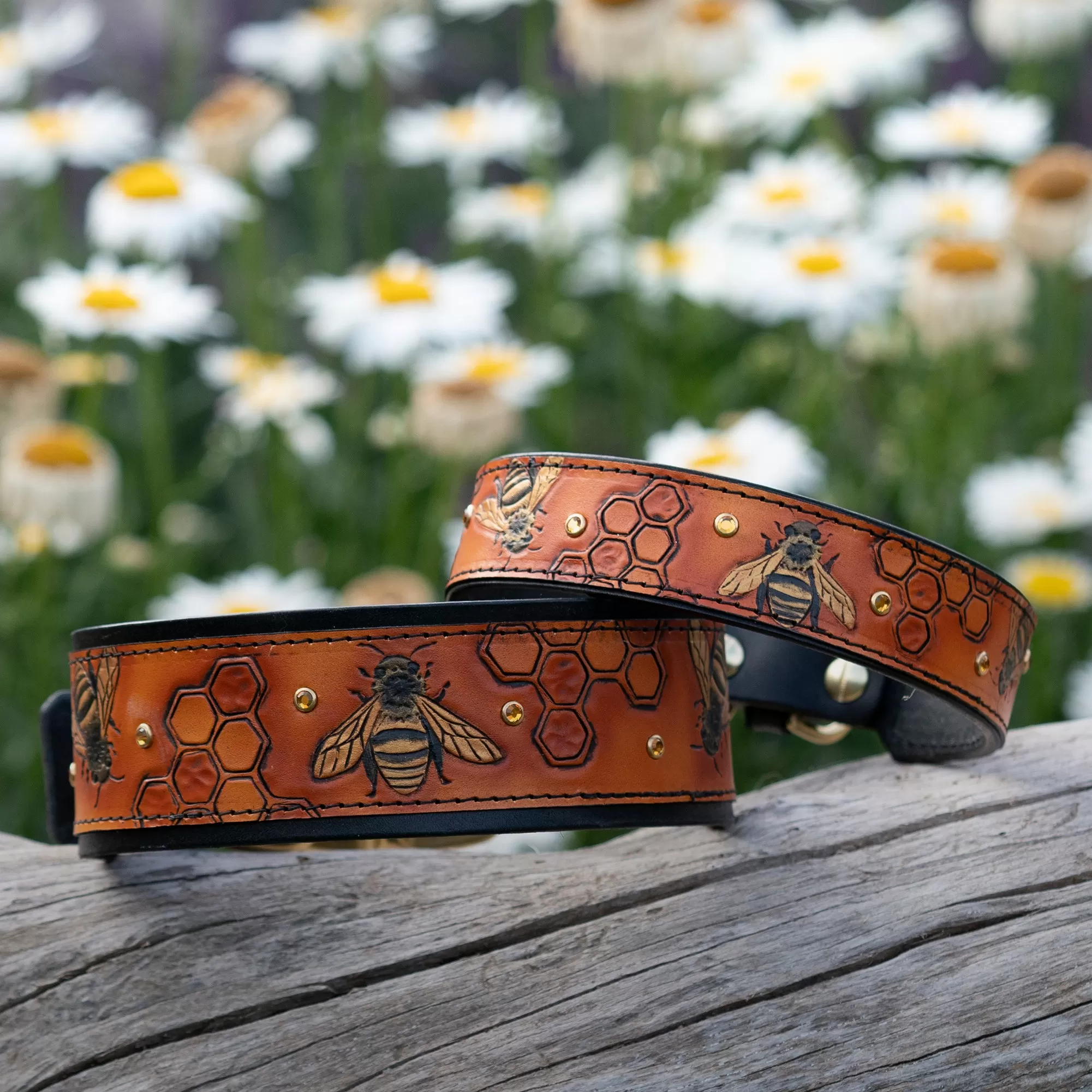 The Honey Bee Dog Collar